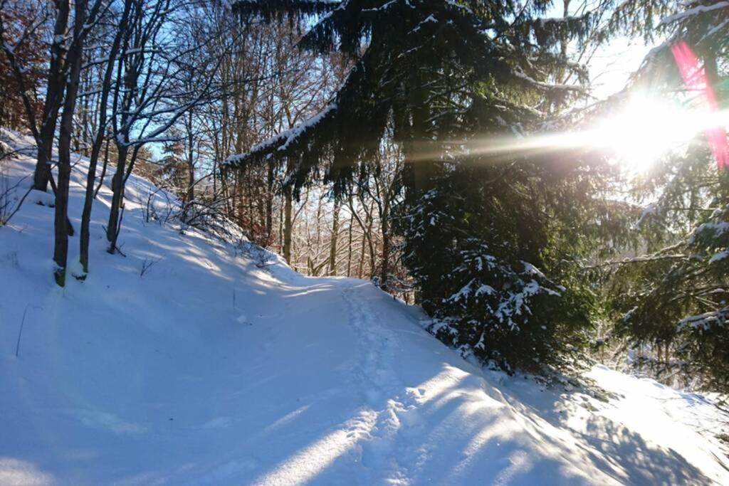 Ferienhaus Hellaberg Langenbach  エクステリア 写真